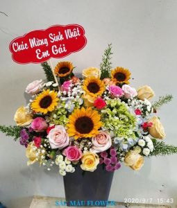 Lãng Hoa Tươi SHG175